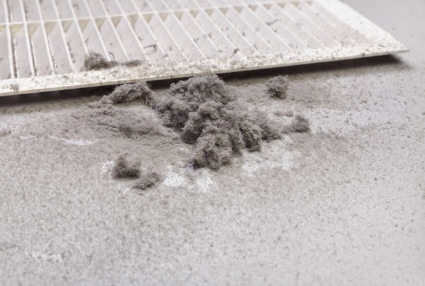 Best Local Air Duct Cleaning Services  in Claryville, KY
